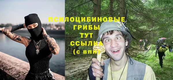 соль ск Переславль-Залесский