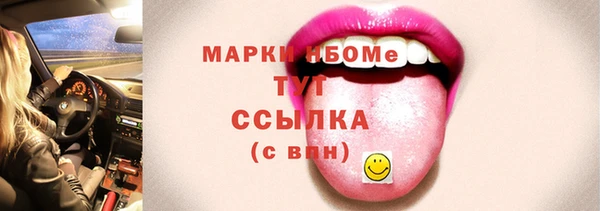тгк Пересвет