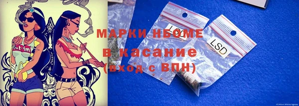 тгк Пересвет