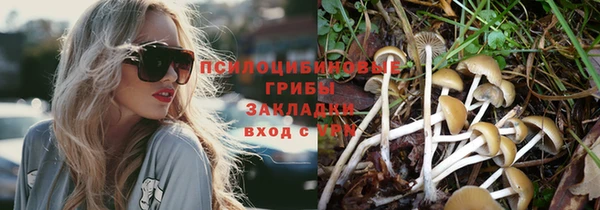 тгк Пересвет