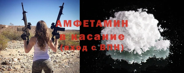 тгк Пересвет