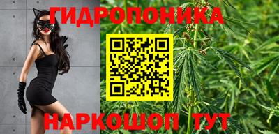 apvp Гусев