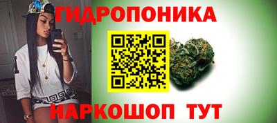 сатива Балахна