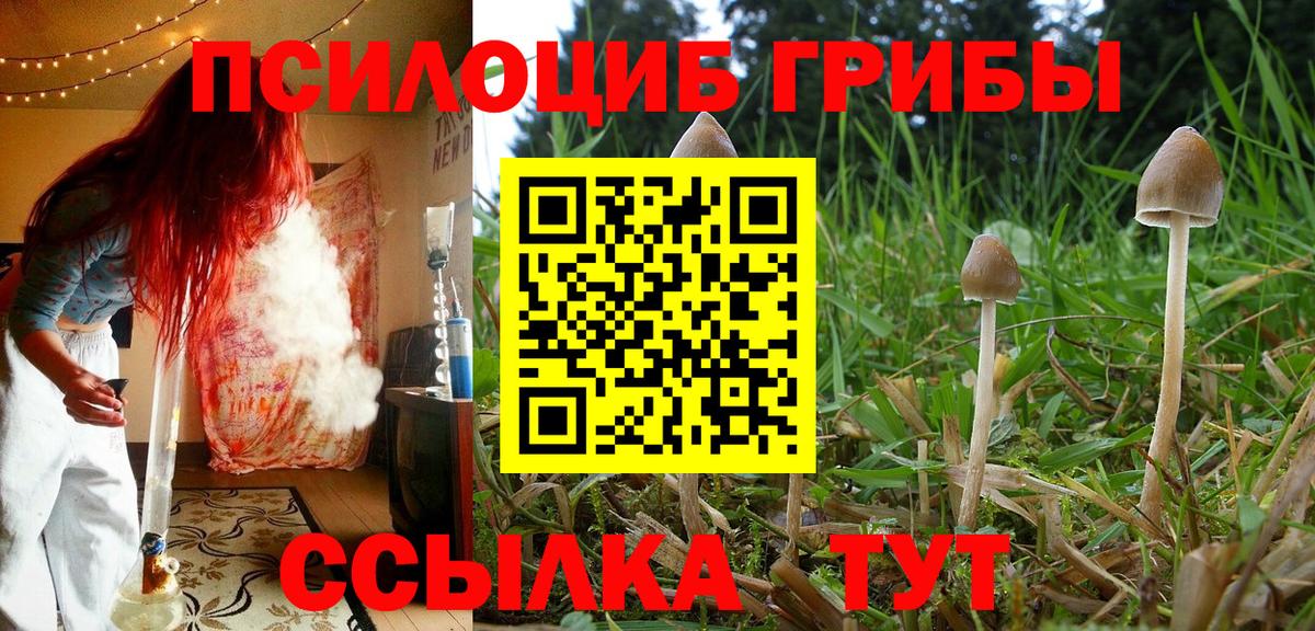 Галлюциногенные грибы MAGIC MUSHROOMS Кыштым