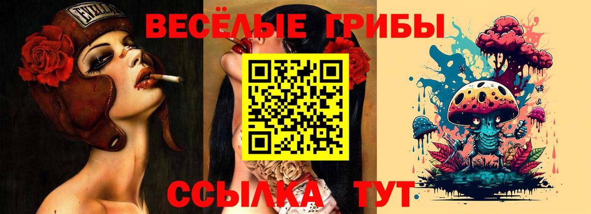 Псилоцибиновые грибы Cubensis  Кыштым 