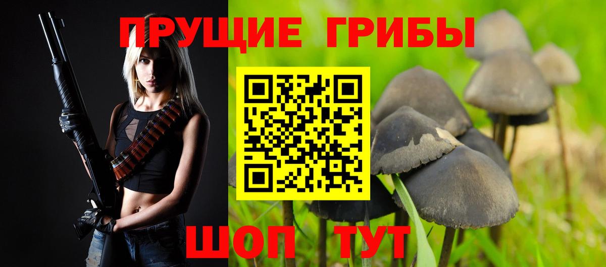Галлюциногенные грибы GOLDEN TEACHER  Галлюциногенные грибы Magic Shrooms  Вход с VPN  Кыштым 