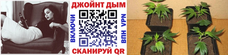 где купить   Кыштым  МАРИХУАНА индика 